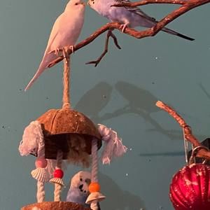 Meet your Posher, Maya